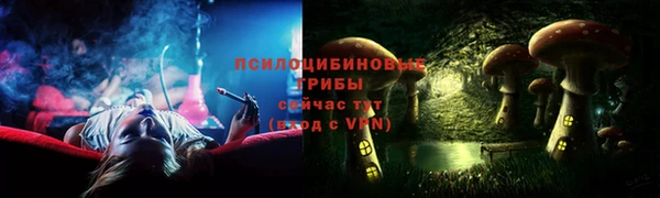 apvp Дмитровск
