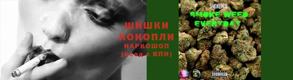 apvp Дмитровск