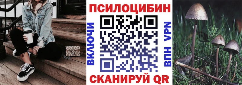 Купить где  Петровск-Забайкальский  Галлюциногенные грибы ЛСД 